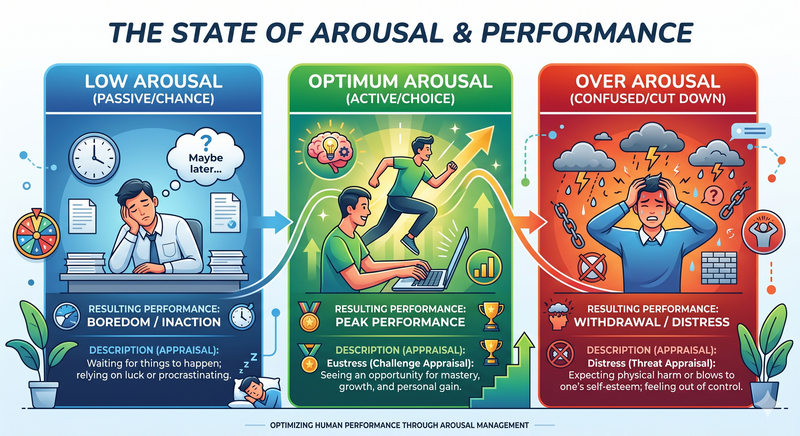 Understanding Stress: The Key to Student Success